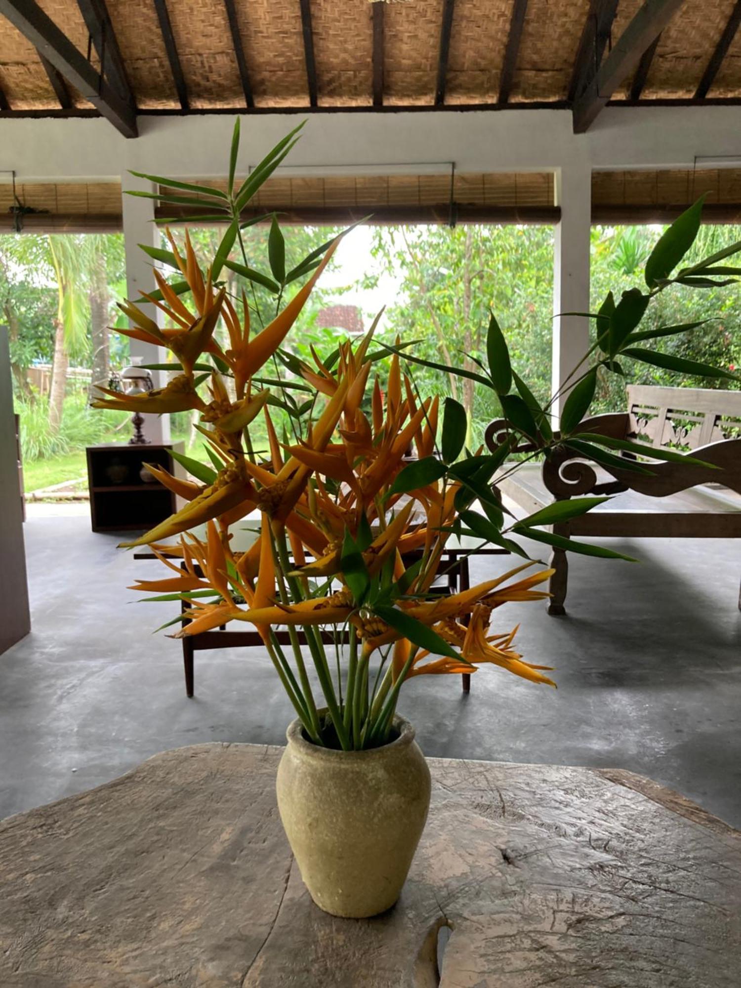 Ohmmstay - Rumah Pendopo Tanjungtirto Exteriér fotografie