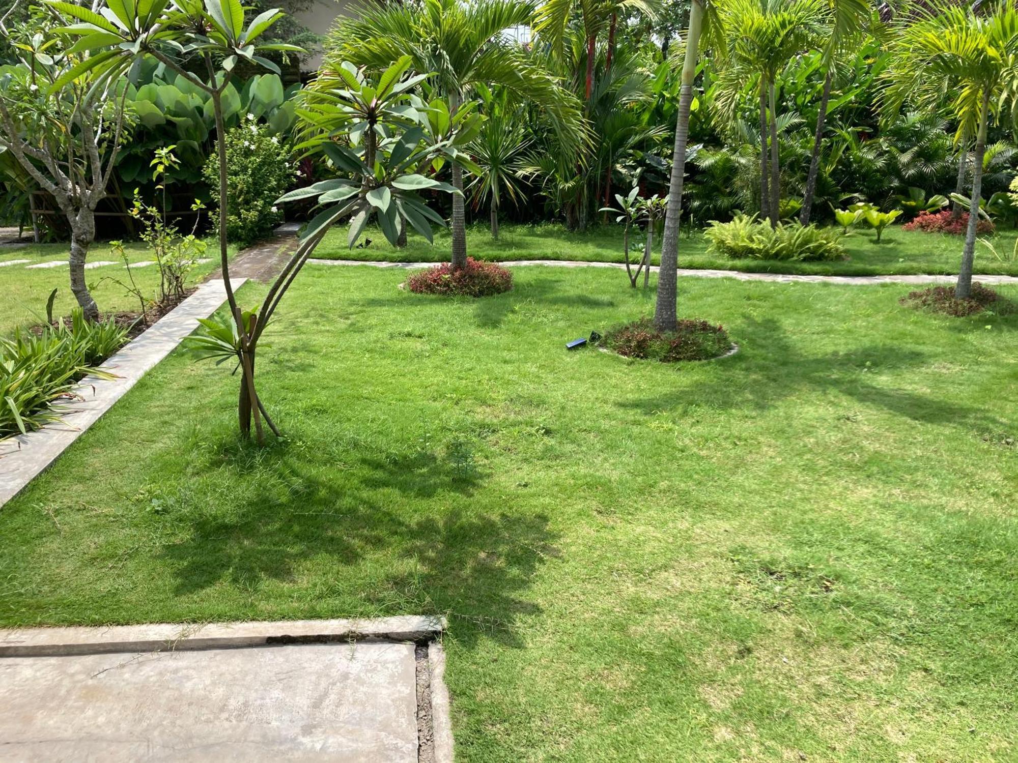 Ohmmstay - Rumah Pendopo Tanjungtirto Exteriér fotografie