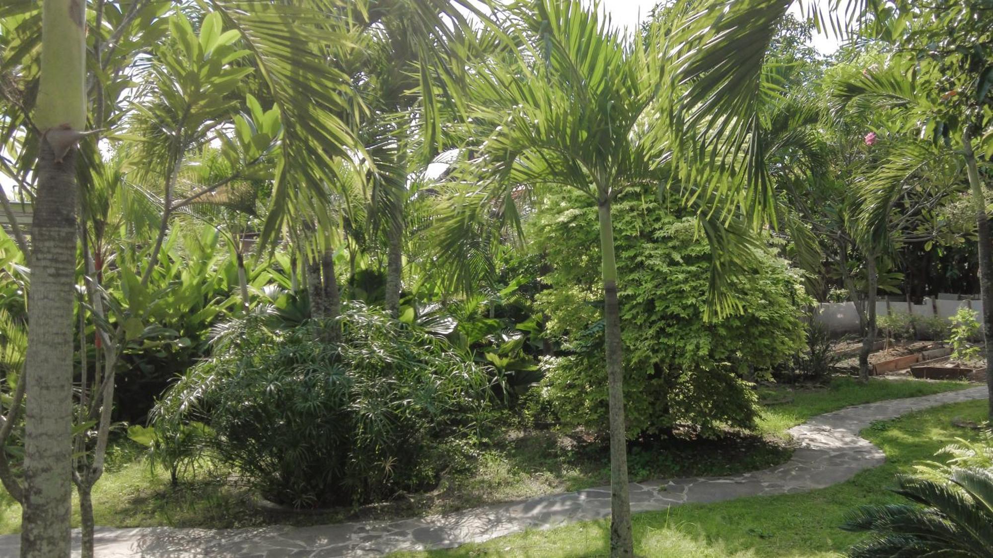 Ohmmstay - Rumah Pendopo Tanjungtirto Exteriér fotografie